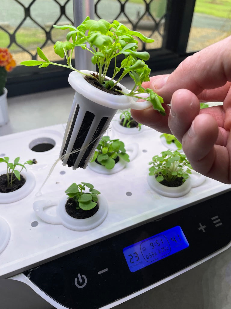 24 Pack Grow Pods for Kitchen Garden