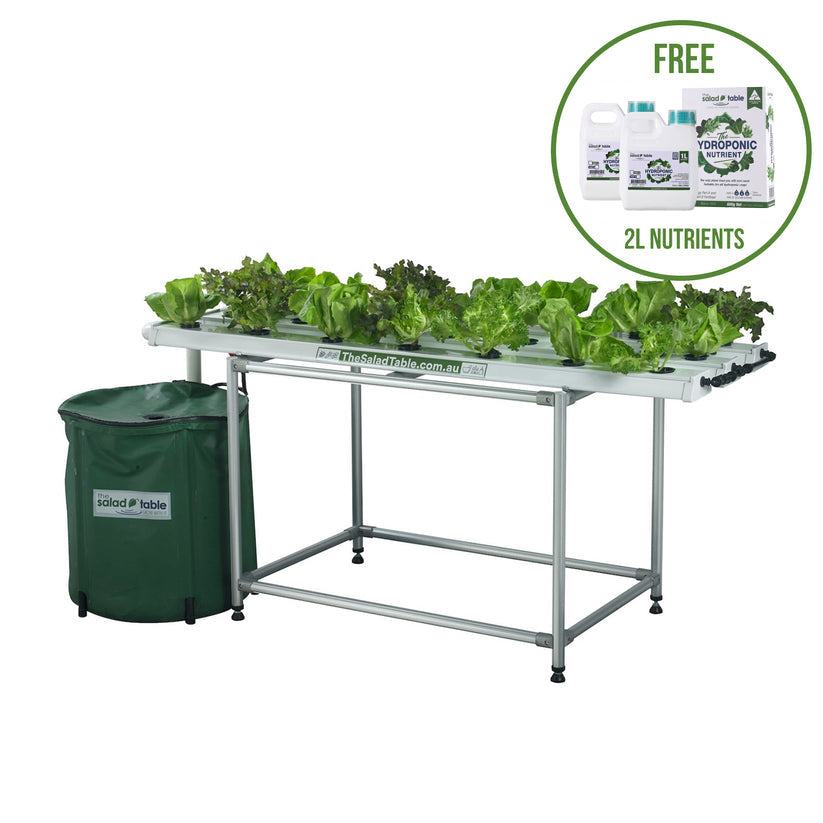 The Medium Salad Table – The Salad Table