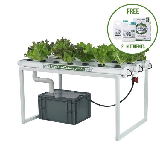 Home Hydroponic Farming: Easy for Everyone with The Salad Table