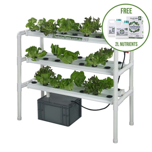 Home Hydroponic Farming: Easy for Everyone with The Salad Table