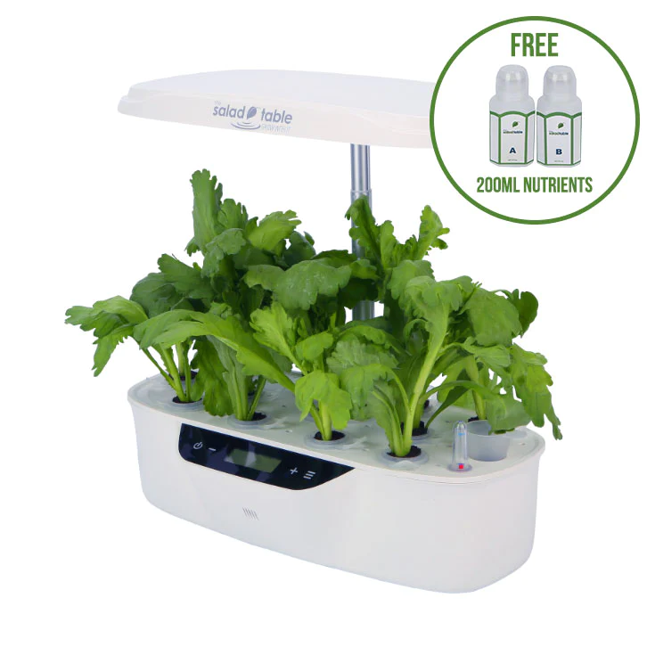 Home Hydroponic Farming: Easy for Everyone with The Salad Table