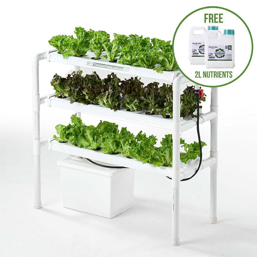 Home Hydroponic Farming: Easy for Everyone with The Salad Table